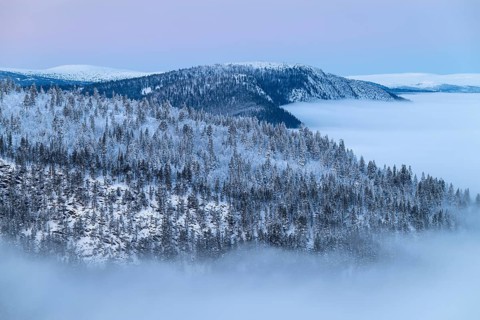 Snowy mountain ranges over fog-filled valley, Alvdal Vestfjell, Hedmark, Innlandet, Norway, January