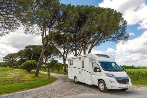Vacation with a motorhome at a winery in France