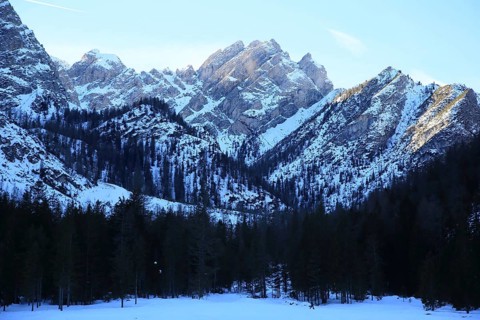 Impressive snow-covered mountains with forests in the foreground in a clear, wintry atmosphere,