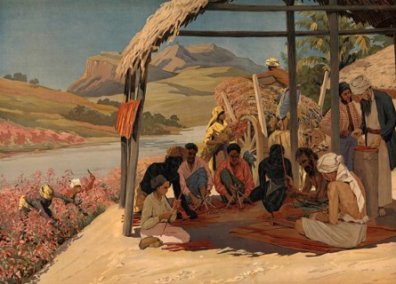 Extraction and processing of cinnamon bark. The workers sitting in the foreground peel the bark
