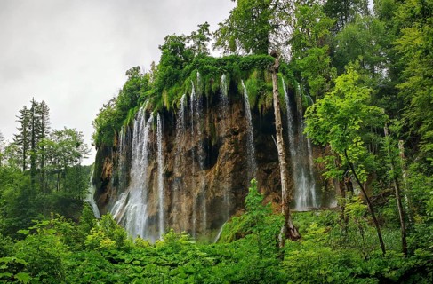 High waterfall flows over a rock wall surrounded by thick, green vegetation, Plitvice Lakes