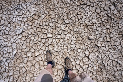 Dried riverbed, brittle floes, extreme low water, Rhine level at 41 cm, downward trend, freighters