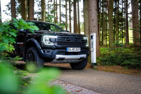 Car in the forest, parked on an asphalted road between the trees, district service with Björn