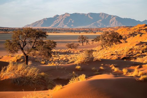 Sand dunes, landscape in the NamibRand nature reserve, in the background Naukluft Mountains, Namib
