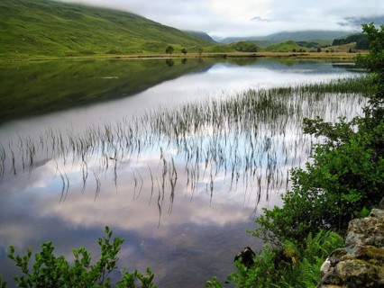 Typical seascape, riparian vegetation, grasses, quiet and natural landscape, clouds reflecting in