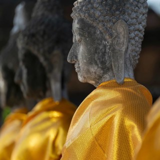 Row of Buddha statues with golden yellow tunic around the Great Chedi Chaya Mongkol, Wat Yai Chai