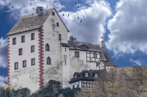 Crows (Corvus corone) above Egloffstein Castle, Egloffstein, Upper Franconia, Bavaria, Germany