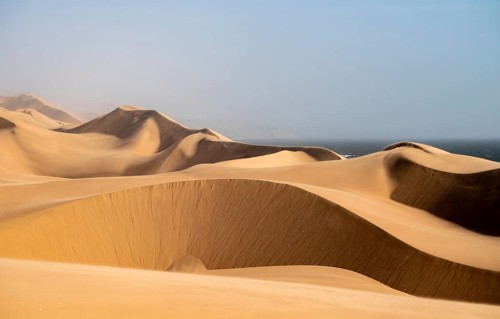 Sand dunes and sea in evening light, wind blowing sand across the dunes, view of the Atlantic coast