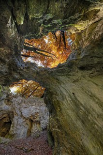 Versturzhöhle Riesenburg, Höhlenruine, Wiesenttal, Upper Franconia, Bavaria, Germany