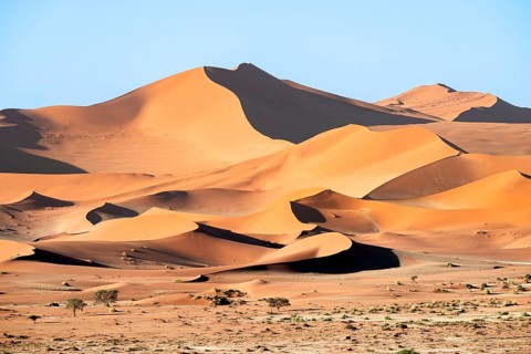 Red sand dunes, Sossusvlei region, Namib Desert, Namib-Naukluft National Park, Namibia