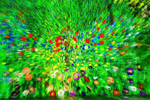 Blossom carpet, green flower meadow, abstract, immersive exhibition, digital art, famous paintings,