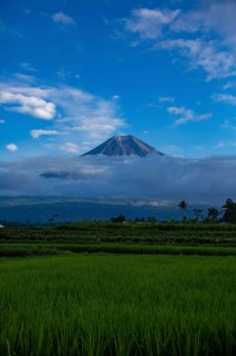 A volcano rises in the clouds above green fields, under a blue sky, a peaceful natural landscape,