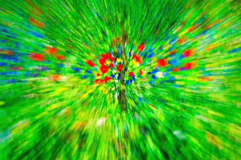 Carpet of flowers, green flower meadow, abstract, immersive exhibition, digital art, famous