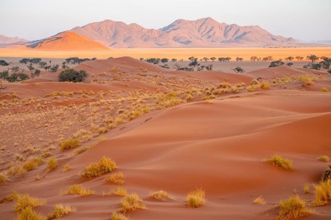 Evening, dry landscape in the NamibRand Nature Reserve, Naukluft Mountains behind, Namib Desert,