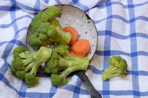 Broccoli in sieve trowel and carrot slices, Brassica oleracea var. italica
