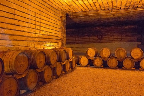 Tranquil scene of stacked wooden barrels in an atmospherically lit cellar, wine cellar, Milestii