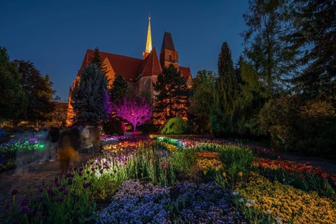 Night view of illuminated flower beds and trees in a botanical garden with a historic cathedral in