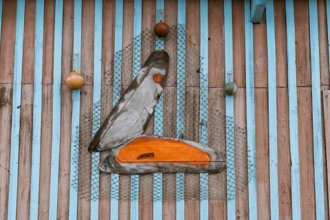 Shell as wall decoration on the French Atlantic coast