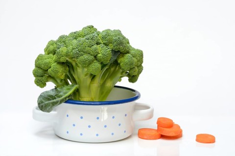 Broccoli in pots and carrot slices, Brassica oleracea var. italica