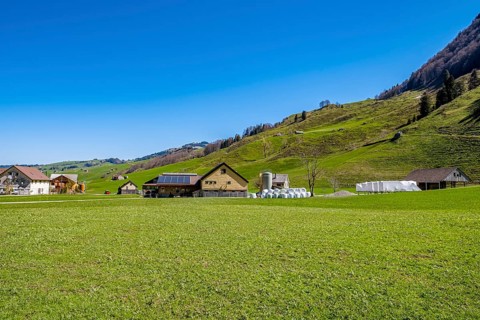 Green meadow with a farm in the foreground, surrounded by rolling hills and clear skies, Appenzell,