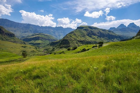 Mountain landscape of the Cathedral Range, view of Cathedral Peak or Cathedral Piek or Mponjwana,