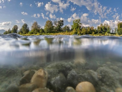 River, water, stones, underwater picture, trees, sun, summer, Loisach, Großweil, Alpine foothills,
