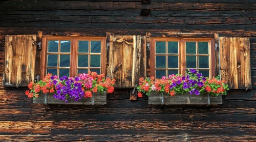 Old windows with floral decorations on the wooden façade of Alpe Hinterenge, near Oberstdorf,