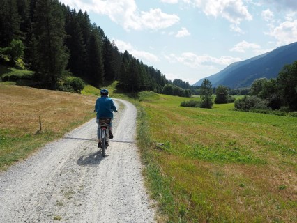 A female cyclist explores a rural scene along a trail, Rottenweg, Goms, Canton of Valais,