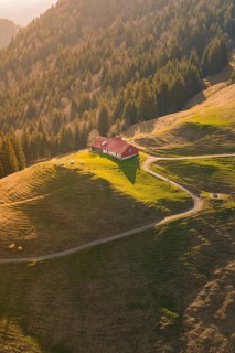 A secluded house on a sunny hill in the middle of a dense forest, Allgäu, Bavaria, Germany