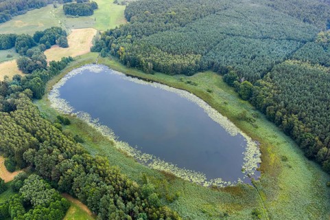 Barnim, Brandenburg, FFH area, Finow Valley, Finowtal-Pregnitzfließ, Germany, Lehnssee, Natura