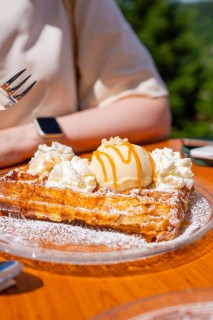 Close-up of waffles with ice cream and cream on a plate, Calw, Black Forest, Germany
