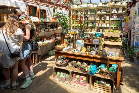 People shopping Inside the gift shop, Chelsea Physic Garden, London, England, UK