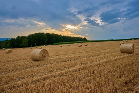 Straw bales in fields under cloudy sky at dusk, summer, Reichartshausen, Amorbach, Odenwald,