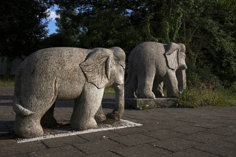 Small elephants, sculptures, figurines, Blaubeuren, Swabian Jura, Baden-Württemberg, Germany