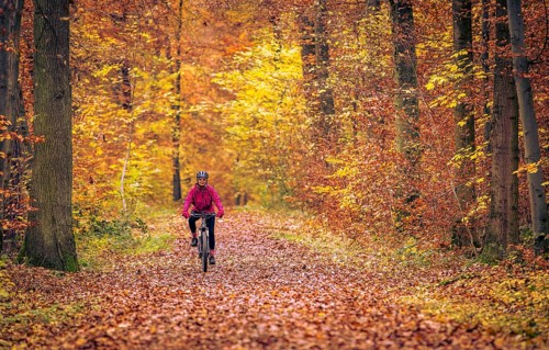 Nice senior woman riding her electric mountainbike on the autumnal forest trails near Stuttgart,