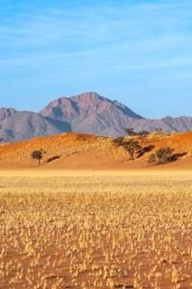 Dunes, landscape in the NamibRand Nature Reserve, in the back Naukluft Mountains, Namib Desert,