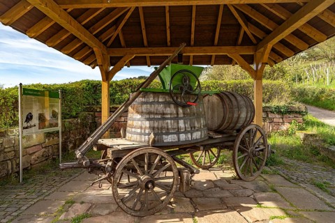 Historic carriage with wooden barrels in the vineyard near Sankt Martin, Southern Wine Route,
