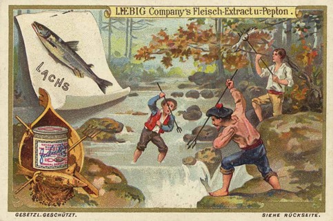 Fishing picture series, map illustrating traditional salmon fishing in flowing water. It shows