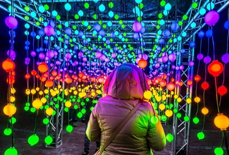 Park lights, winter event, in the Grugapark in Essen, many different light installations, across