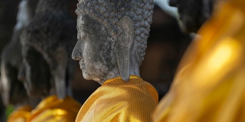 Row of Buddha statues with golden yellow tunic around the Great Chedi Chaya Mongkol, Wat Yai Chai