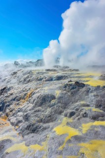 Prince of Wales and Pohutu geysers erupting, Te Puia Thermal Valley, Rotorua, Bay of Plenty, North