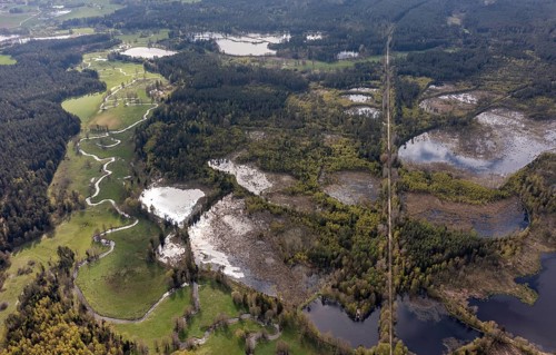 Bavaria, Upper Palatinate, Tirschenreuth, Waldnaab, Waldnaabaue, wild pastures Waldnaabaue, aerial