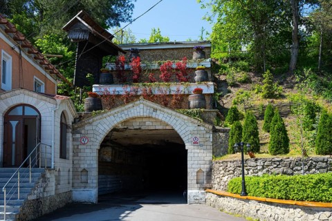 Stone building with wine barrels and tunnels surrounded by plants on a hill, entrance to the wine
