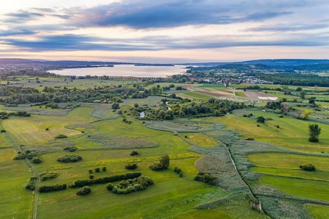 Morning atmosphere on Lake Constance. Cultural landscape in the Zeller Aachried nature reserve.