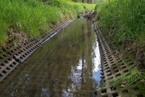 Auma, Aumatal, Germany, Greiz, Thuringia, Bach, Brook, rivers, expansion of rivers, melioration,
