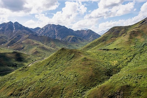 Tundra and mountainous landscape of the Alaska Range, Sable Pass, Denali National Park and