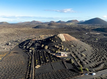 Typical drywall viticulture in volcanic landscape, on volcanic ash, lapilli, aerial view, vines, La