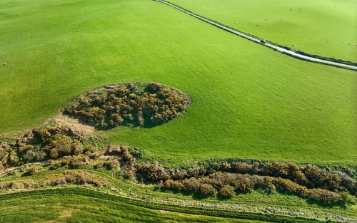 Aerial photo of the agricultural pasture landscape at the atlantic coast on the Mull of Galloway,