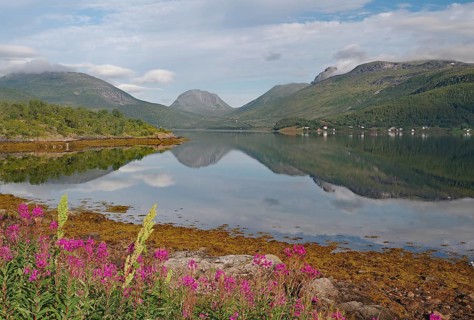 Calm lake with mountain views, pink flowers in the foreground and cloudy sky create a peaceful