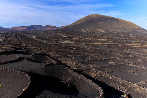 Lanzarote, Canary Islands, Spain, Europe, wine fields in La Geria, volcanic landscape with
